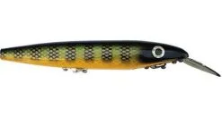 Cisco Kid 600 Series 18.5 Cm 1-pack -Haspelspön Försäljningsbutik 1381628