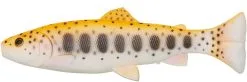 Savage Gear 3D Craft Trout Pulsetail 16 Cm 1-pack -Haspelspön Försäljningsbutik 1389790 1 1
