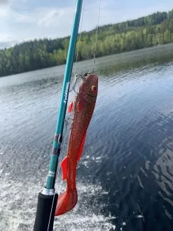 Abu Garcia Beast Paddle Tail 21 Cm [93 G] 1-pack -Haspelspön Försäljningsbutik 1392697 1 1