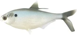 13 Fishing BAMF Shad 20 Cm [108 G] Swimbait 1-pack -Haspelspön Försäljningsbutik 1393474 1
