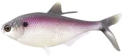 13 Fishing BAMF Shad 20 Cm [108 G] Swimbait 1-pack -Haspelspön Försäljningsbutik 1393475 1