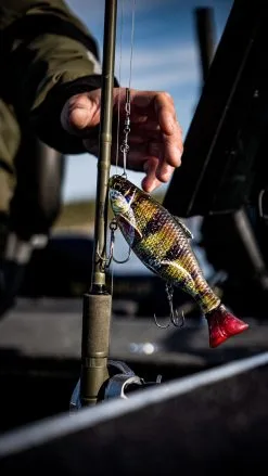 Savage Gear 3D Hard Pulsetail Roach 13.5 Cm [40 G] SS 1-pack -Haspelspön Försäljningsbutik 1394489 2 1