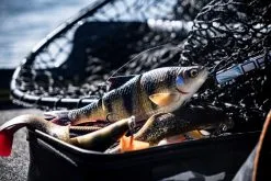 Savage Gear 4D Line Thru Roach 25 Cm [216 G] S 1-pack -Haspelspön Försäljningsbutik 1395126 1 3