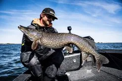 Savage Gear 3D Hard Pulsetail Roach 18 Cm [90 G] SS 1-pack -Haspelspön Försäljningsbutik 1395126 2 1 1