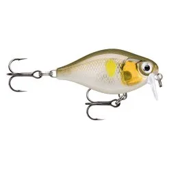 Rapala X-Light Crank Shallow Runner 3.5 Cm [4 G] F 1-pack -Haspelspön Försäljningsbutik 146501