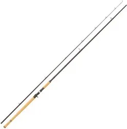 Abu Garcia Salmon Seeker Spinnspö 12' 50-150 G