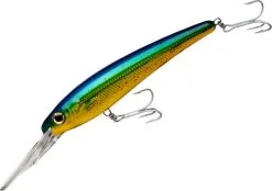 Bomber Saltwater Grade Certified Depth 20.3 Cm [113 G] F 1-pack -Haspelspön Försäljningsbutik BSWCD30 DRO