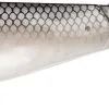 Berkley Pulse Shad 8 Cm [11 G] 4-pack -Haspelspön Försäljningsbutik G 1392879 1