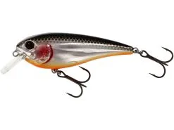 Westin RawBite Crankbait 7 Cm [12 G] F 1-pack -Haspelspön Försäljningsbutik P048 221 x1 large