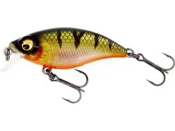 Westin BuzzBite SR Crankbait 5 Cm [6 G] SF 1-pack -Haspelspön Försäljningsbutik P147 023 001 large