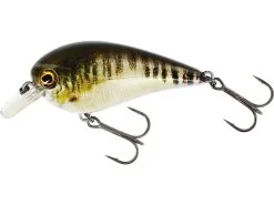 Westin BassBite Squarebill 7 Cm [16 G] F 1-pack -Haspelspön Försäljningsbutik P154 572 148 large