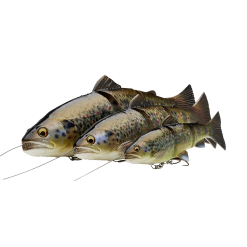 Savage Gear 4D Line Thru Trout 30 Cm [303 G] S Perch 1-pack -Haspelspön Försäljningsbutik SGK023