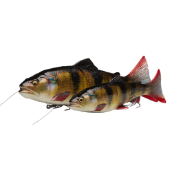 Savage Gear 4D Line Thru Trout 40 Cm [685 G] SS Perch 1-pack -Haspelspön Försäljningsbutik SGK023 3 1