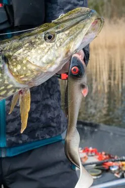 Abu Garcia Beast Curl Tail 21 Cm 2-pack -Haspelspön Försäljningsbutik beast curly