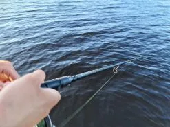 Savage Gear Browser V2 Haspelspö 38 Savage Gear Browser V2 Haspelspö -Haspelspön Försäljningsbutik browser 3