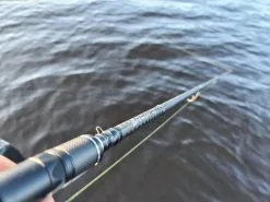 Savage Gear Browser V2 Haspelspö 39 Savage Gear Browser V2 Haspelspö -Haspelspön Försäljningsbutik browser 5