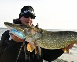 Savage Gear Cannibal Padletail 12.5 Cm 1-pack -Haspelspön Försäljningsbutik cannibal shad1