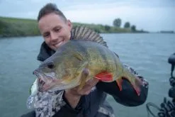 Berkley Dredger 6.5 Cm 1-pack 48 Berkley Dredger 6.5 Cm 1-pack -Haspelspön Försäljningsbutik dredger 1