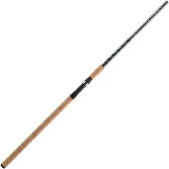 Big Fish Tackle BFT Target Spinnspö 12' 30-150 G