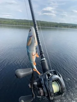 Savage Gear Browser V2 Trigger Spinnspö -Haspelspön Försäljningsbutik g 1382643