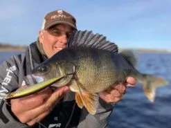 Gunki Gamera Slim 115 SP 1-pack -Haspelspön Försäljningsbutik g 1389230 2