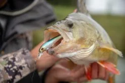 Berkley Hit Stick 7 Cm [6.9 G] S 1-pack -Haspelspön Försäljningsbutik hit stick