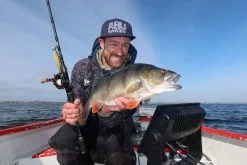 Berkley PowerBait Hollow Belly 12.5 Cm 3-pack 19 Berkley PowerBait Hollow Belly 12.5 Cm 3-pack -Haspelspön Försäljningsbutik hollow belly 1 1