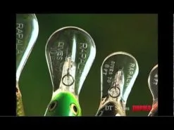 Rapala DT (Dives-To 4') 5 Cm 1-pack -Haspelspön Försäljningsbutik hqdefault 169