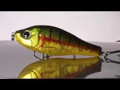 Savage Gear Cannibal Box Kit X-small 20-pack -Haspelspön Försäljningsbutik hqdefault 23