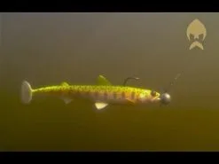 Westin HypoTeez ST 11.5 Cm [11 G] 2-pack -Haspelspön Försäljningsbutik hqdefault 26 3