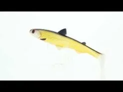 Westin HypoTeez ST 11.5 Cm [11 G] 2-pack -Haspelspön Försäljningsbutik hqdefault 27 1