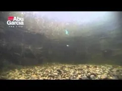 Abu Garcia Tormentor 5 Cm 1-pack -Haspelspön Försäljningsbutik hqdefault 392