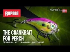 Rapala BX Brat Shallow 5 Cm 1-pack -Haspelspön Försäljningsbutik hqdefault 408 9