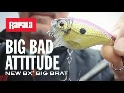 Rapala BX Big Brat 7 Cm 1-pack -Haspelspön Försäljningsbutik hqdefault 409 10