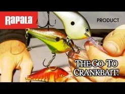 Rapala DT (Dives-To 4') 5 Cm 1-pack -Haspelspön Försäljningsbutik hqdefault 414 2