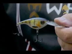 Westin BabyBite DR Crankbait 6.5 Cm [13 G] F 1-pack -Haspelspön Försäljningsbutik hqdefault 41 22