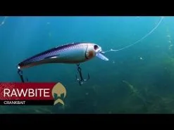 Westin RawBite Crankbait 17 Cm [100 G] SF 1-pack -Haspelspön Försäljningsbutik hqdefault 41 28