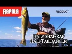 Rapala Shad Dancer 5 Cm 1-pack 35 Rapala Shad Dancer 5 Cm 1-pack -Haspelspön Försäljningsbutik hqdefault 425 1