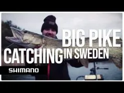 Shimano Yasei Pike Haspelspö -Haspelspön Försäljningsbutik hqdefault 441 1