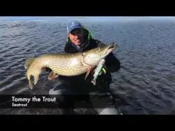 Westin Tommy The Trout Hybrid 25 Cm [160 G] SS 1-pack -Haspelspön Försäljningsbutik hqdefault 44 28