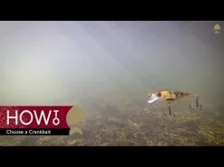 Westin RawBite Crankbait 7 Cm [12 G] F 1-pack -Haspelspön Försäljningsbutik hqdefault 45 15