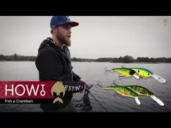 Westin RawBite Crankbait 15 Cm [61 G] SF 1-pack -Haspelspön Försäljningsbutik hqdefault 45 17