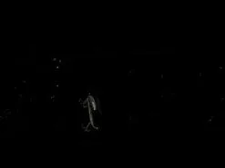 Westin Swim Glidebait 10 Cm [34 G] S 1-pack -Haspelspön Försäljningsbutik hqdefault 45 6