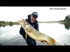 Savage Gear 3D Pulse Tail Roach 10 Cm 2-pack -Haspelspön Försäljningsbutik hqdefault 488 1