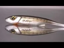 Gunki Whiz 7.6 Cm 8-pack 33 Gunki Whiz 7.6 Cm 8-pack -Haspelspön Försäljningsbutik hqdefault 511 18