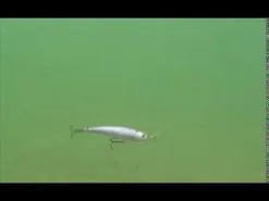 Strike Pro Strike Mini Floating 7.5 Cm 1-pack 37 Strike Pro Strike Mini Floating 7.5 Cm 1-pack -Haspelspön Försäljningsbutik hqdefault 561 1