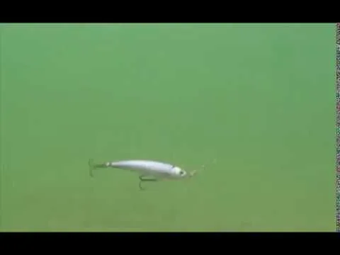 Strike Pro Strike Mini Floating 7.5 Cm 1-pack 20 Strike Pro Strike Mini Floating 7.5 Cm 1-pack - Bild 18