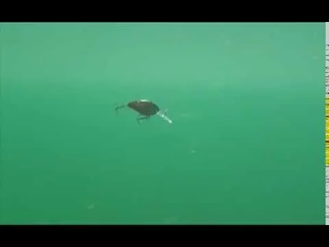 Strike Pro Cranky X Deep 5 Cm 1-pack 8 Strike Pro Cranky X Deep 5 Cm 1-pack - Bild 6