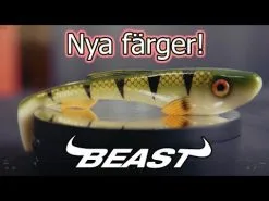 Abu Garcia Beast Curl Tail 21 Cm 2-pack -Haspelspön Försäljningsbutik hqdefault 572 10