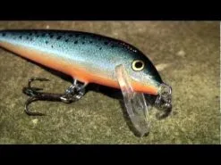 Rapala CountDown 7 Cm 1-pack -Haspelspön Försäljningsbutik hqdefault 943 18